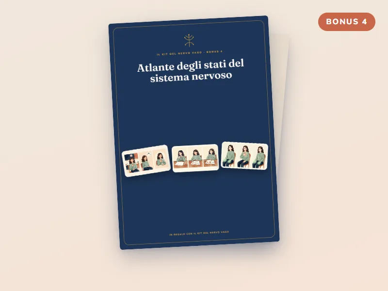 Bonus 4: Atlante degli stati del sistema nervoso